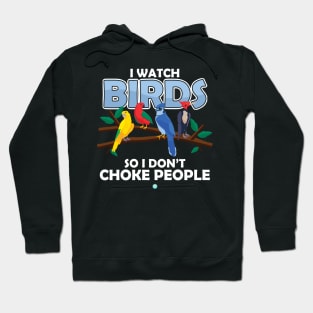 i watch Birds - Funny Birdwatcher Gift Hoodie